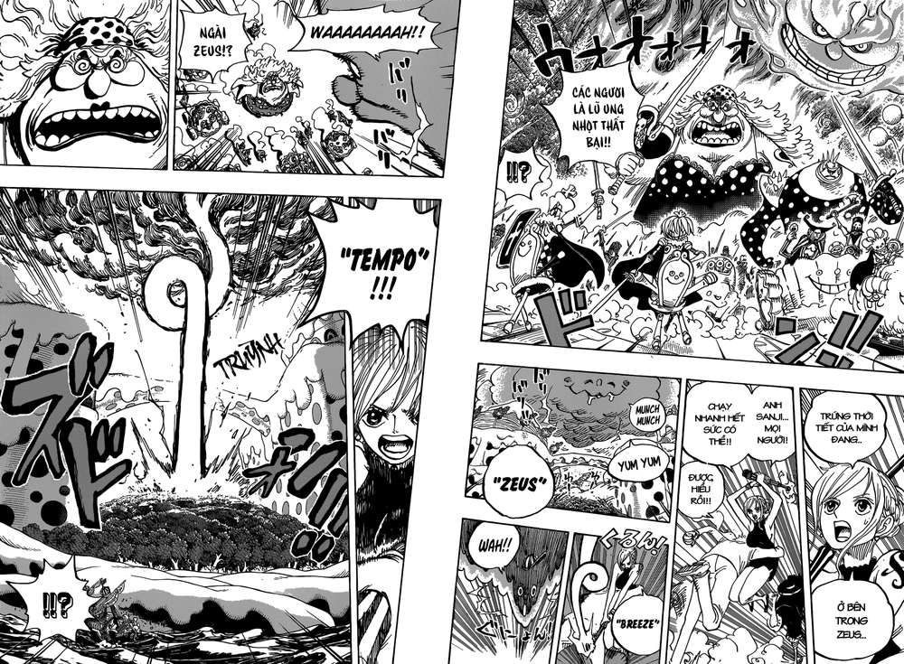 One Piece Tập 875 - Trang 12