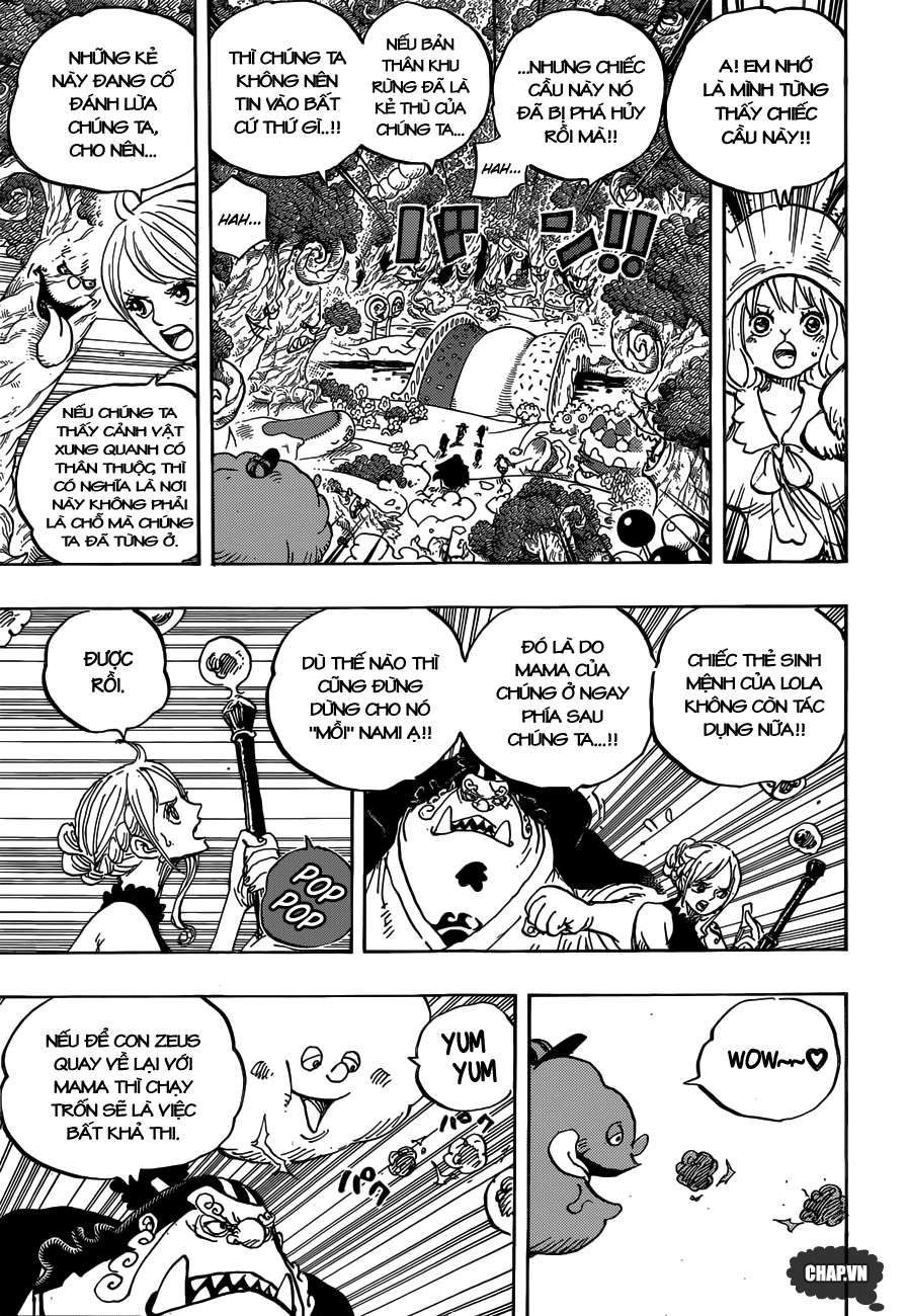One Piece Tập 875 - Trang 21
