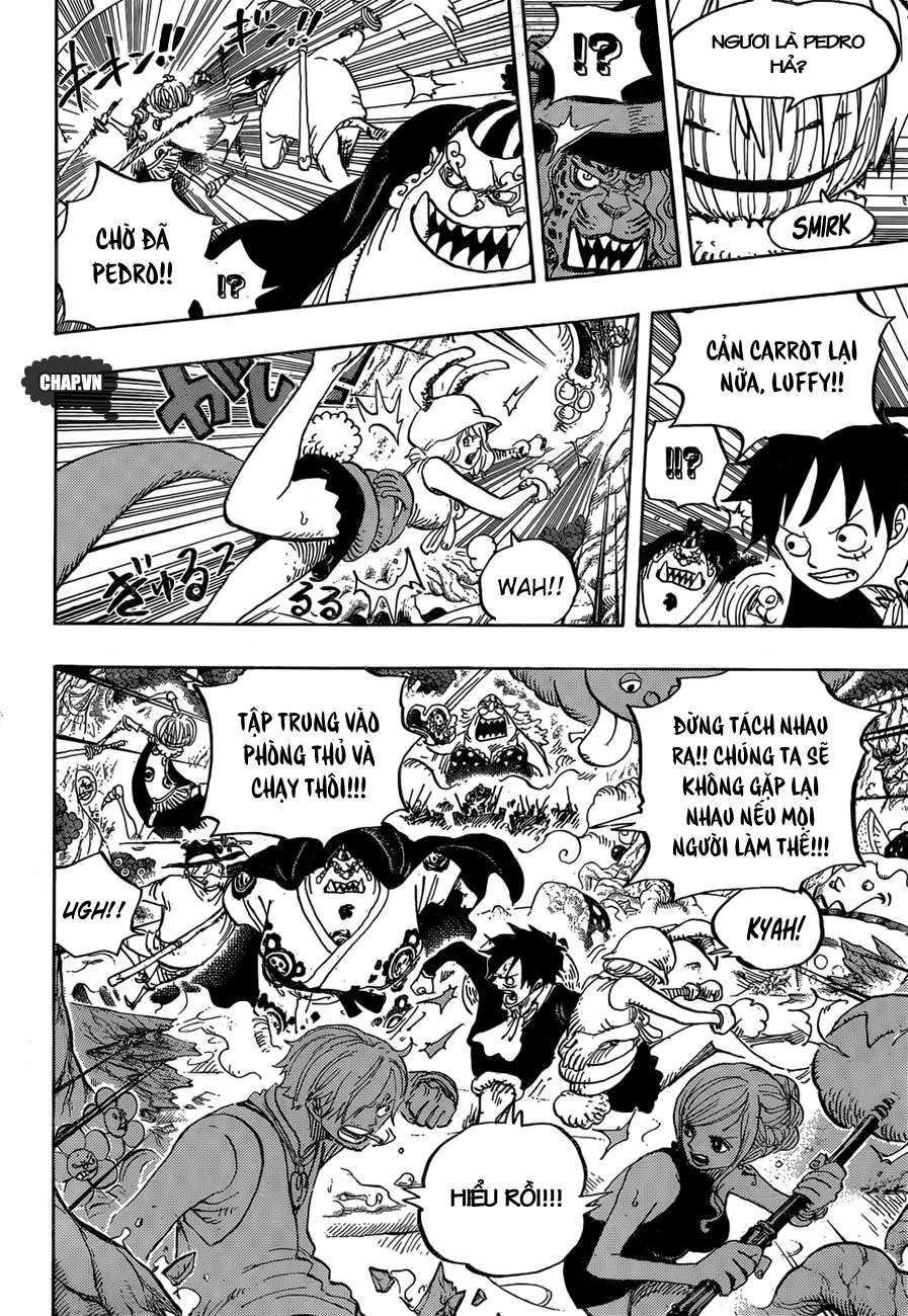 One Piece Tập 875 - Trang 26