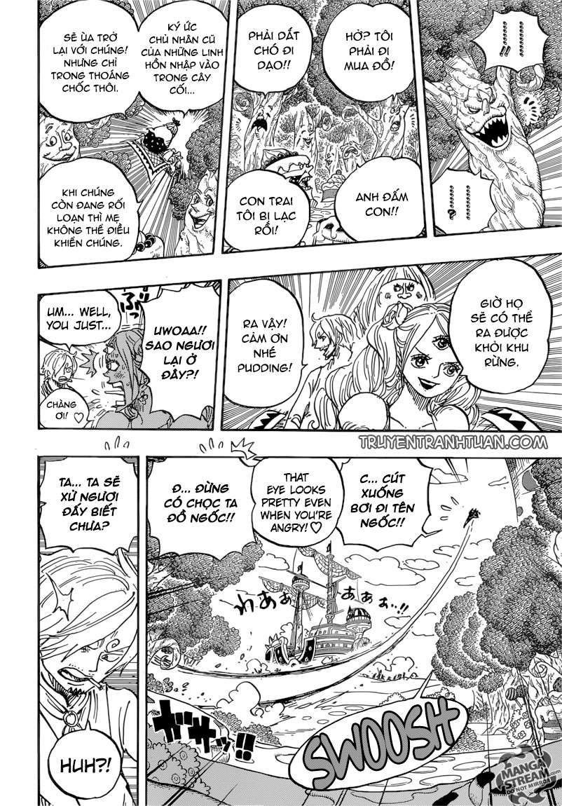 One Piece Tập 876 - Trang 14