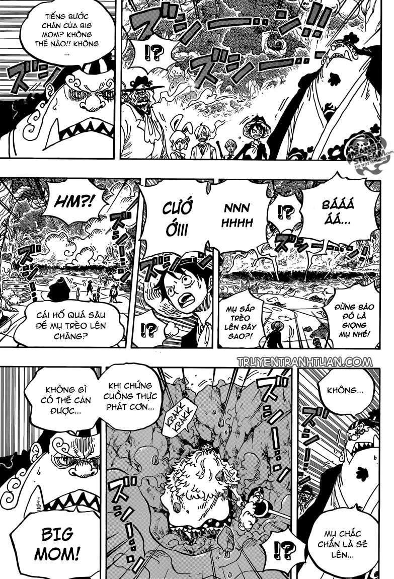 One Piece Tập 876 - Trang 24