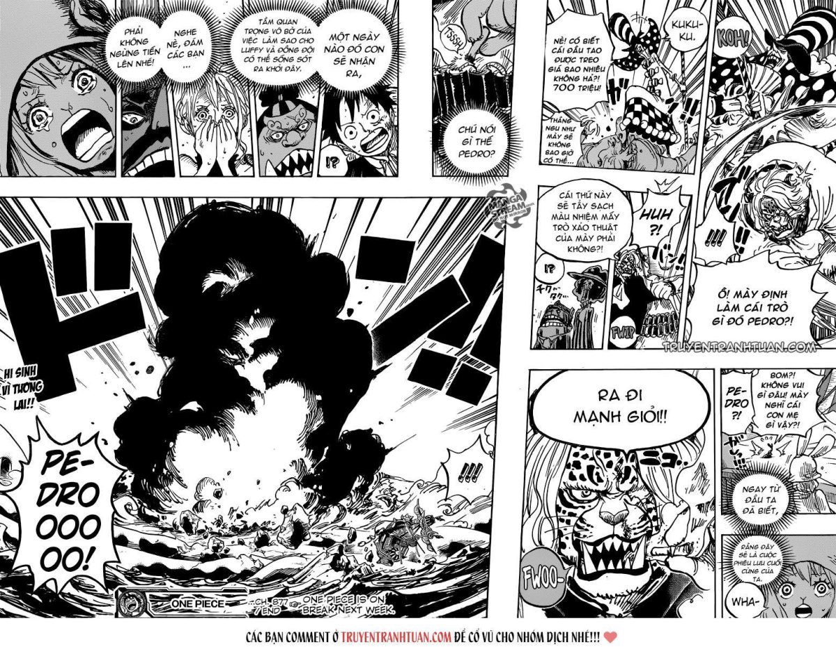 One Piece Tập 877 - Trang 14