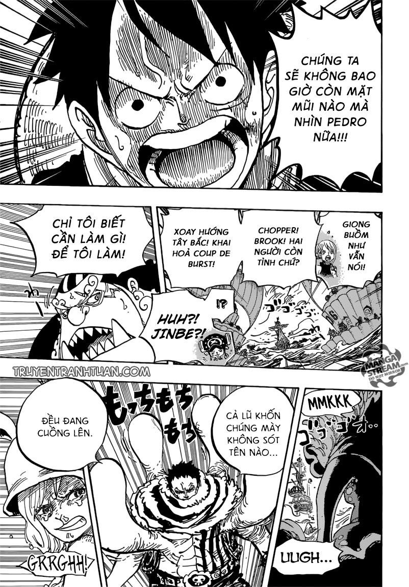 One Piece Tập 878 - Trang 9