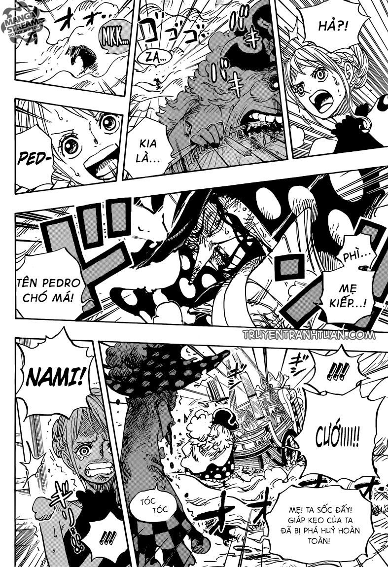 One Piece Tập 878 - Trang 14