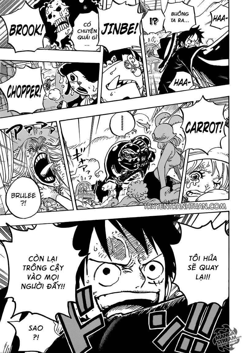 One Piece Tập 878 - Trang 15