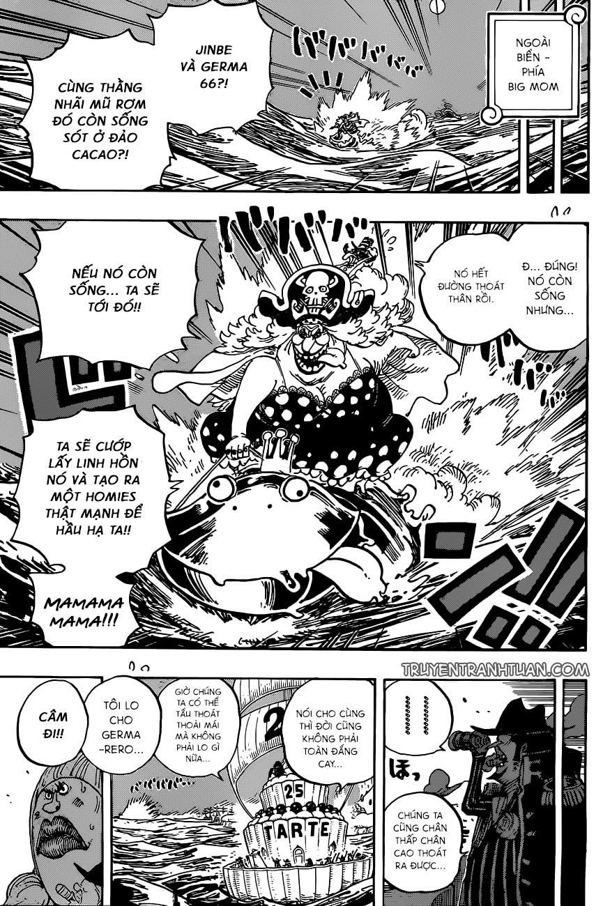 One Piece Tập 901 - Trang 14