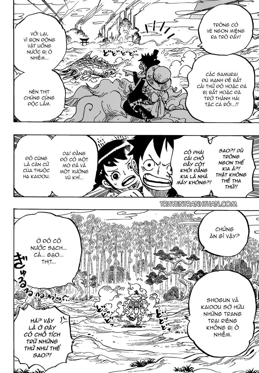 One Piece Tập 912 - Trang 13