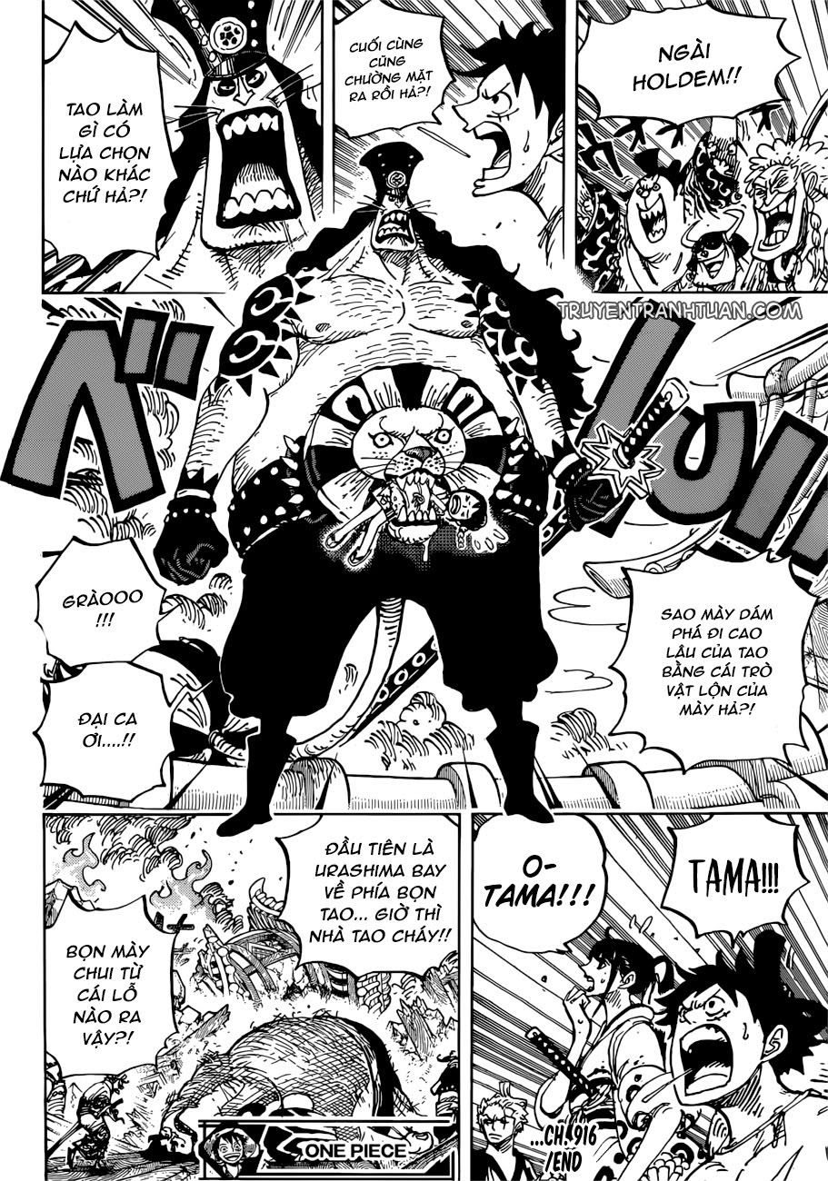 One Piece Tập 916 - Trang 17