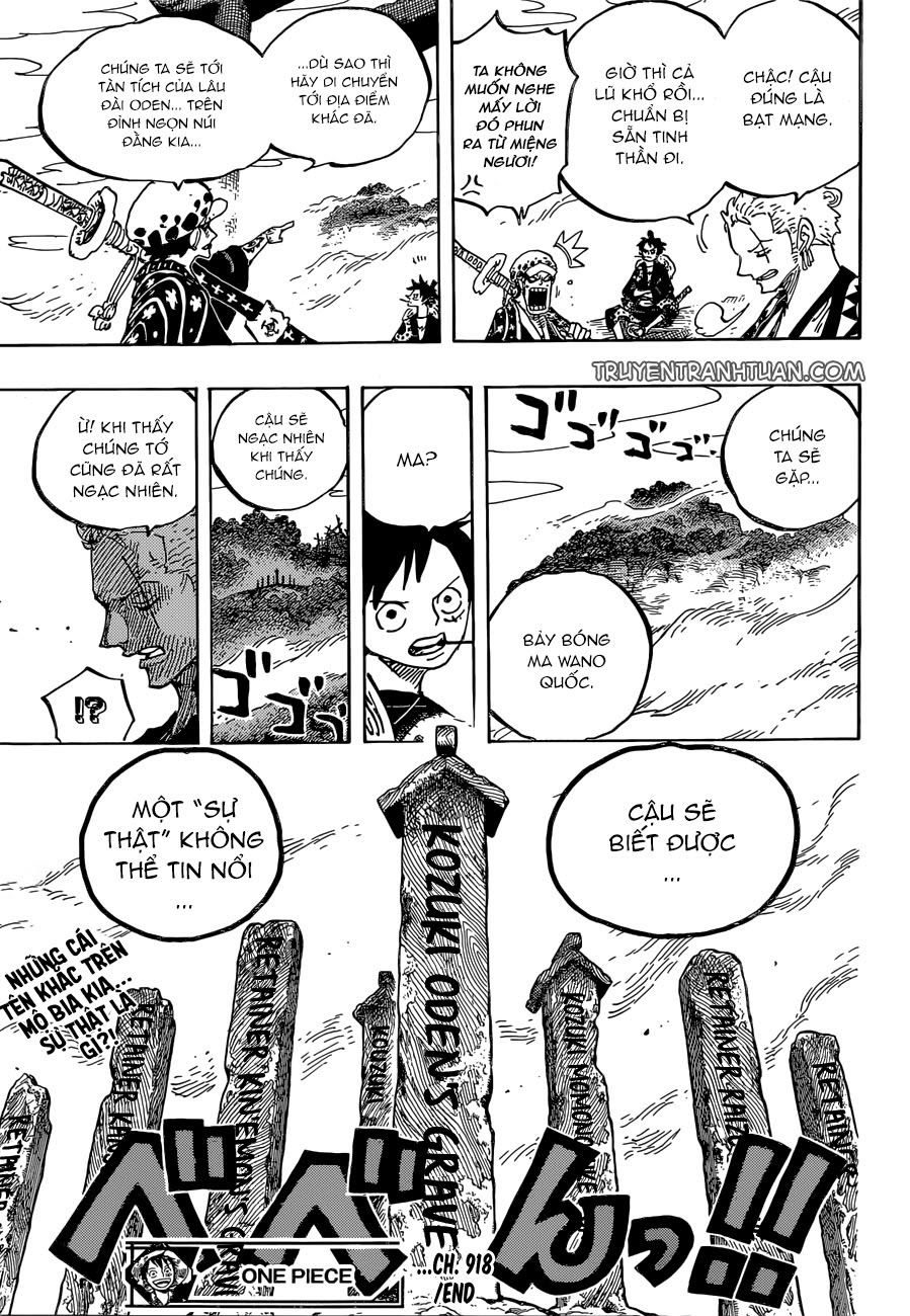 One Piece Tập 918 - Trang 16