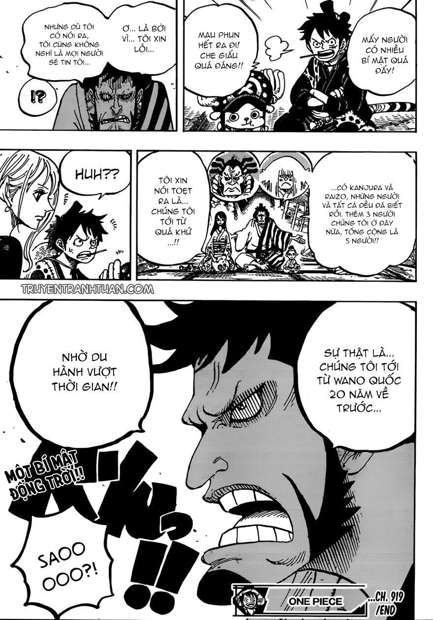 One Piece Tập 919 - Trang 15
