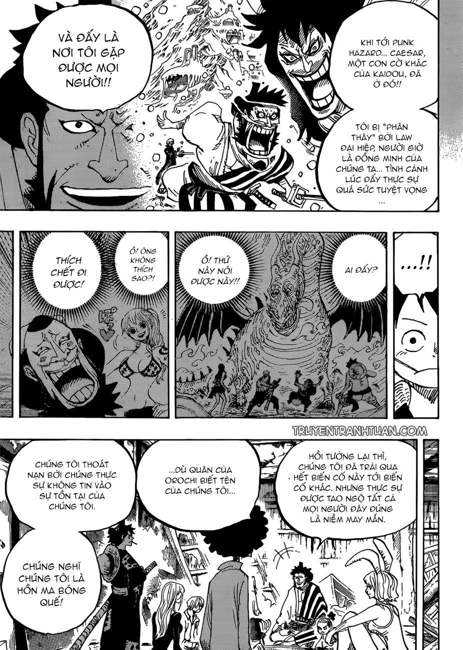 One Piece Tập 920 - Trang 14