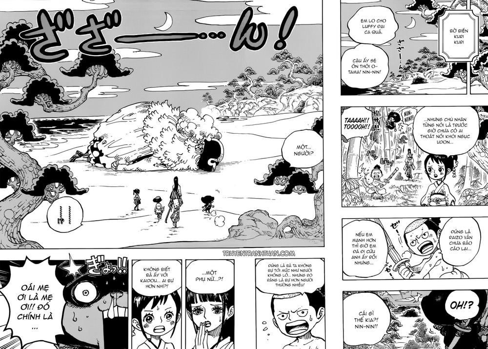 One Piece Tập 931 - Trang 13