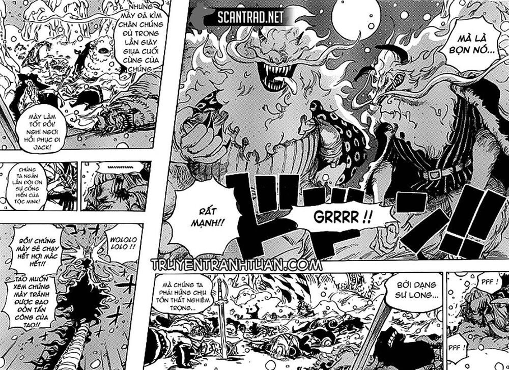 One Piece Tập 991 - Trang 14