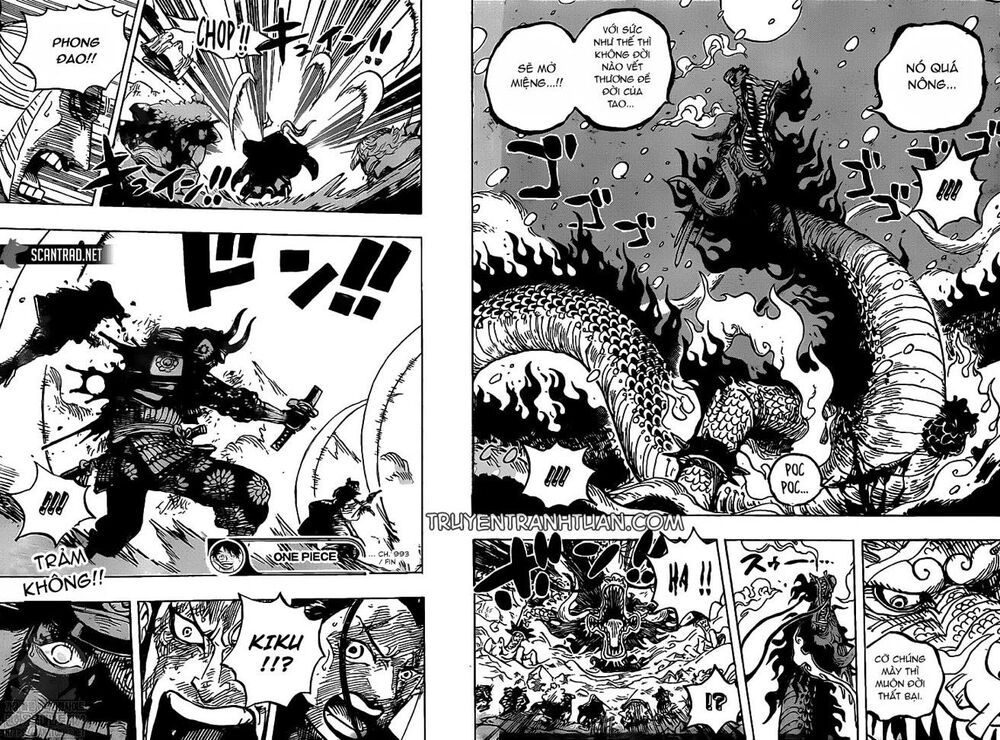 One Piece Tập 993 - Trang 15