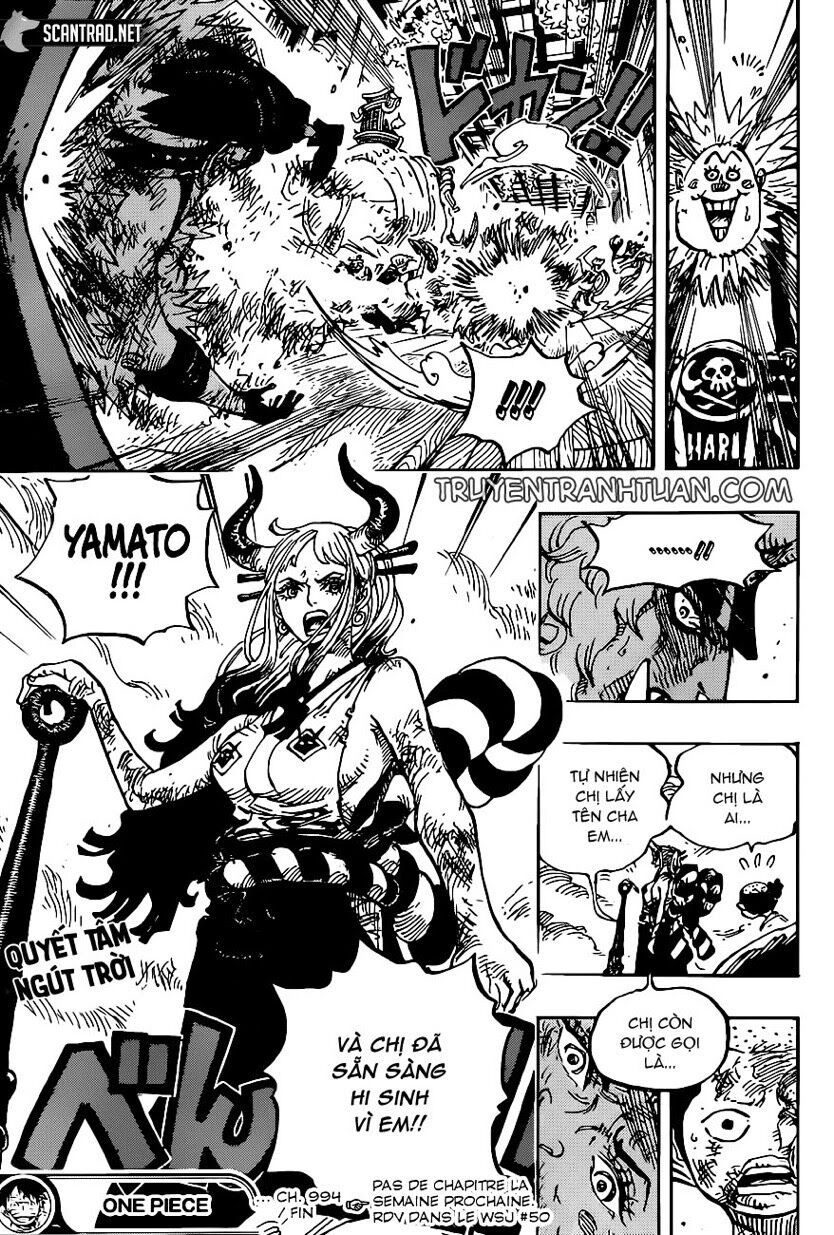 One Piece Tập 994 - Trang 16