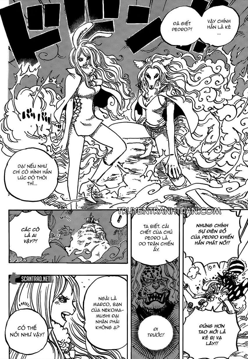 One Piece Tập 995 - Trang 5