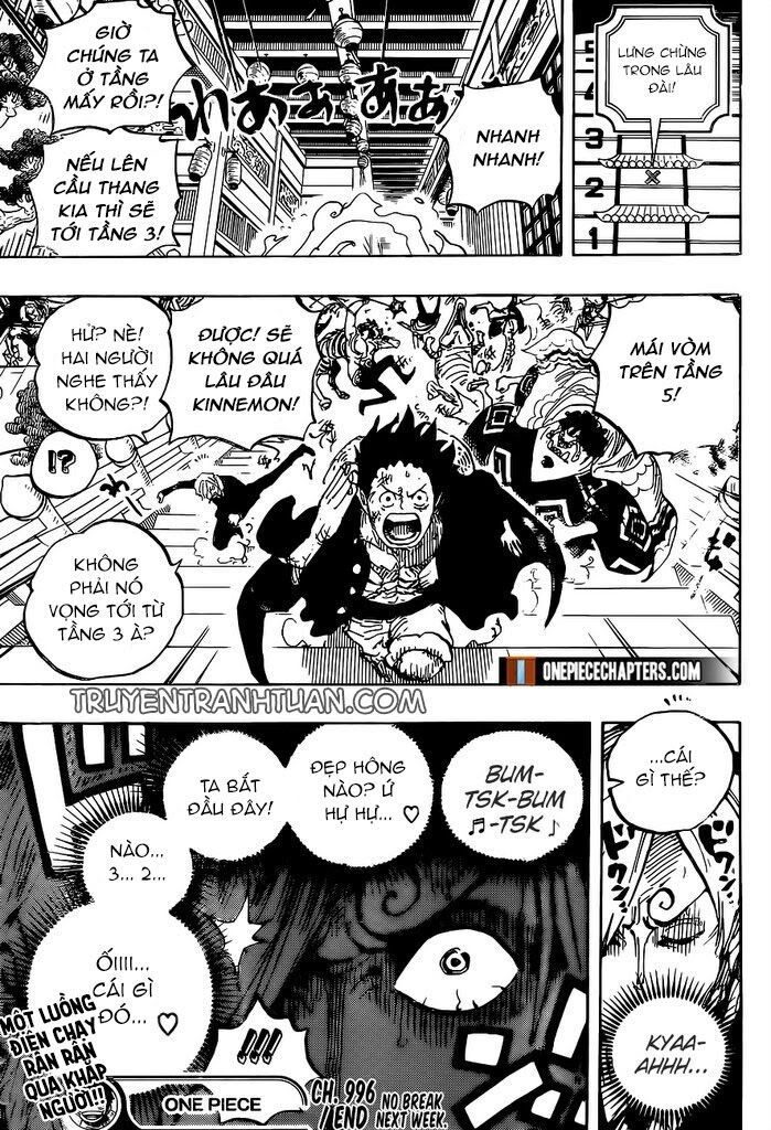 One Piece Tập 996 - Trang 17