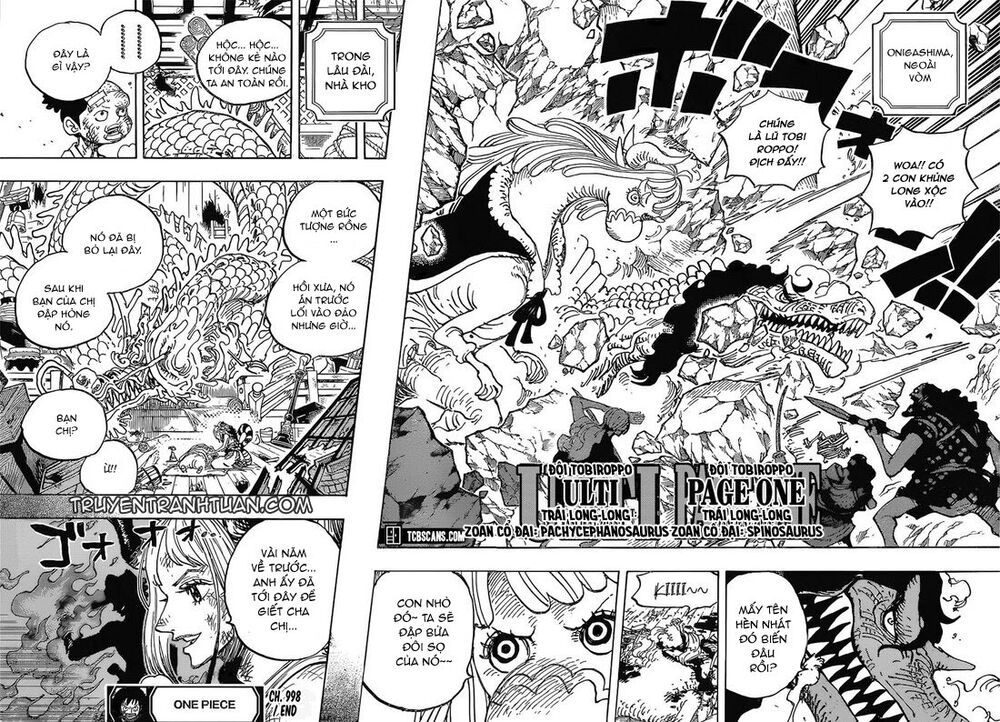 One Piece Tập 998 - Trang 11