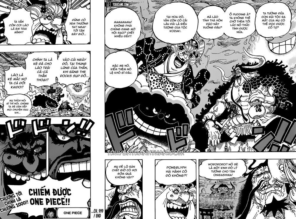 One Piece Tập 999 - Trang 17