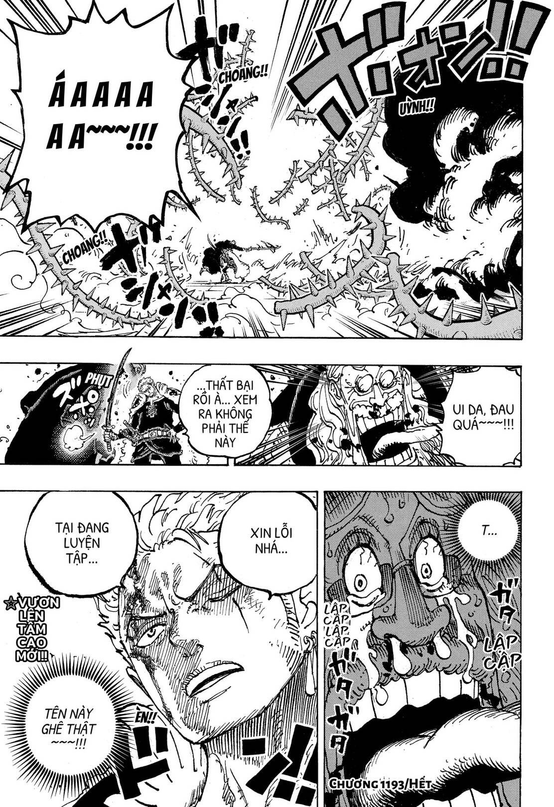 One Piece Tập 1193 - Trang 17
